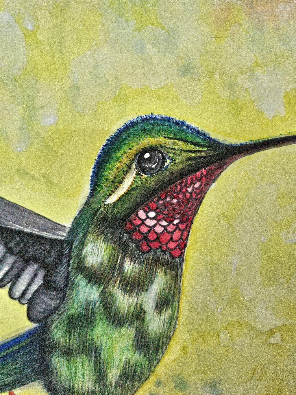 2. 自在的小鳥 原創花鳥水彩畫 藝術畫 裝飾畫 Wonderful Humingbird Original Watercolor Painting Wall Painting Wall Decoration